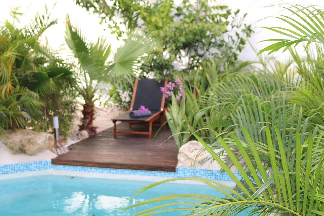 New House Tropic Paradise With Pool Willemstad Exteriör bild