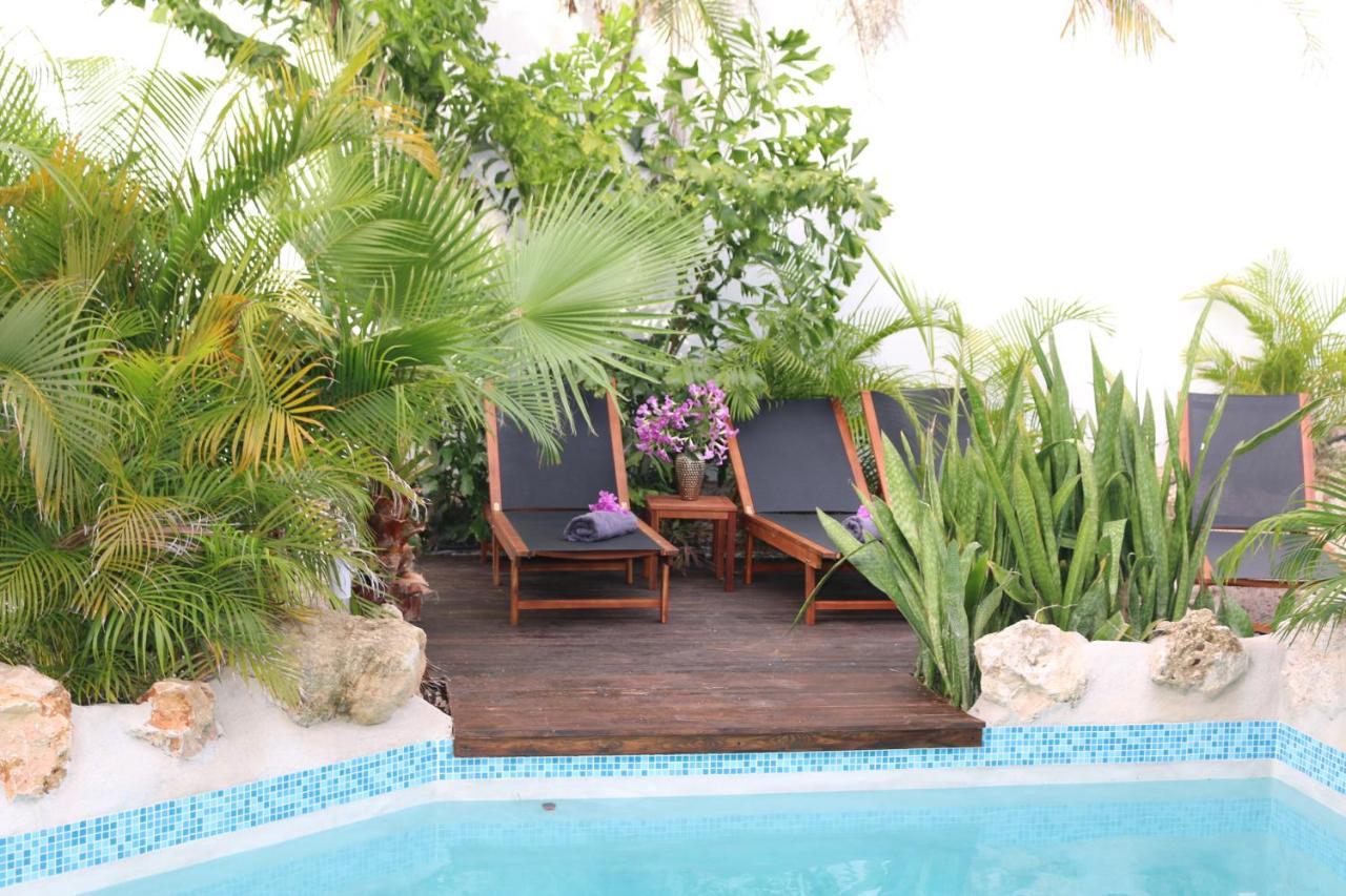 New House Tropic Paradise With Pool Willemstad Exteriör bild