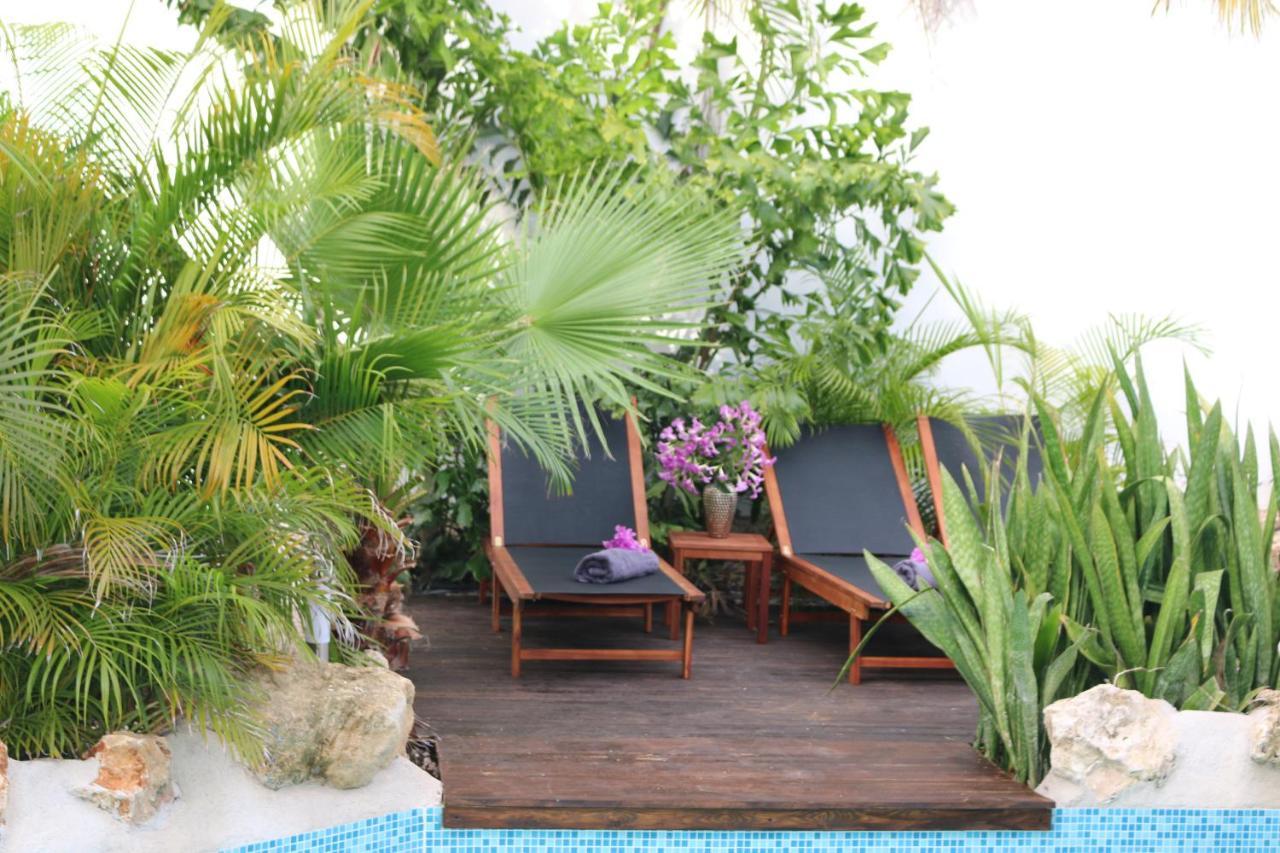 New House Tropic Paradise With Pool Willemstad Exteriör bild