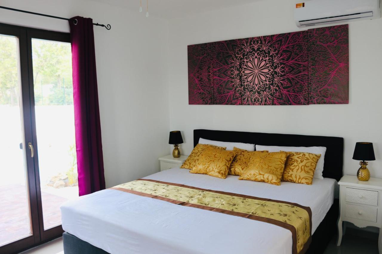 New House Tropic Paradise With Pool Willemstad Exteriör bild