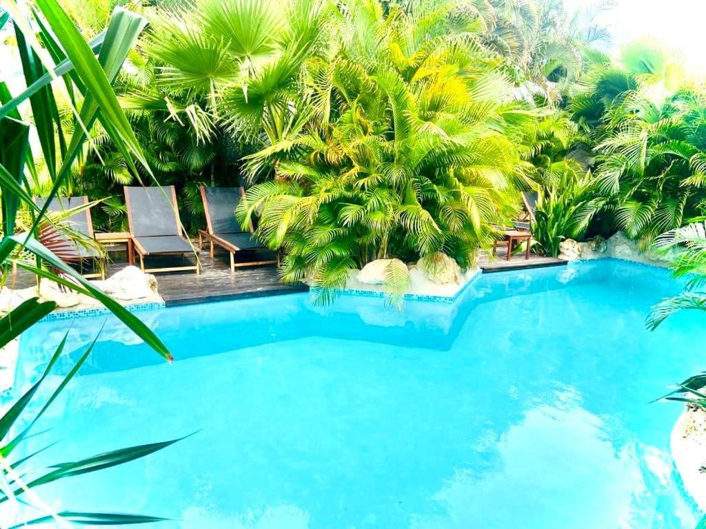 New House Tropic Paradise With Pool Willemstad Exteriör bild