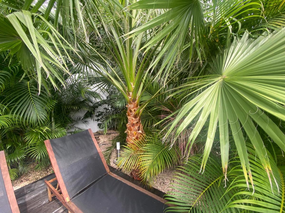New House Tropic Paradise With Pool Willemstad Exteriör bild